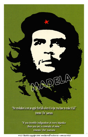 Che Guevara #1271